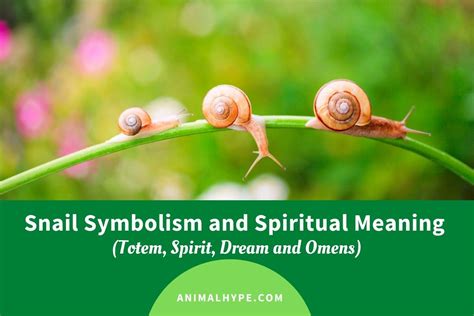 Snail Symbolism and Meaning (Totem, Spirit and Omens).